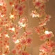 Sakura Artificial Flowers 180CM Vine - SHOP VILLA